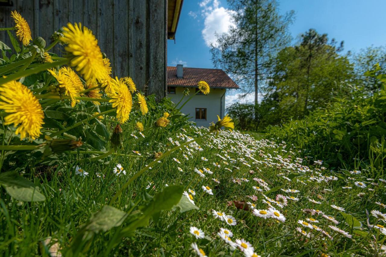Ferienhaus Schlierachtal Miesbach Extérieur photo